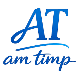 AM TIMP